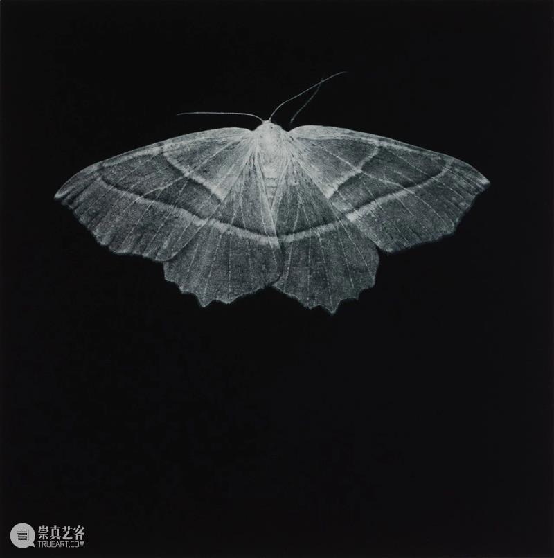 【线上展厅第九期】第六届上海铜版画展——国际美柔汀特展艺术家解读 视频资讯 上海徐汇艺术馆 崇真艺客